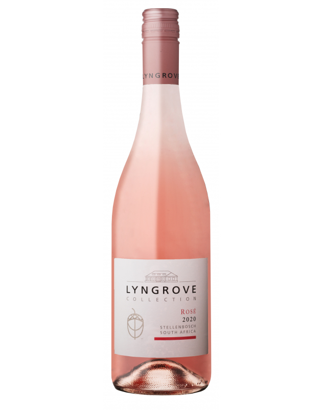 Lyngrove Rose Lyngrove Rose